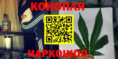 ALPHA PVP Бийск