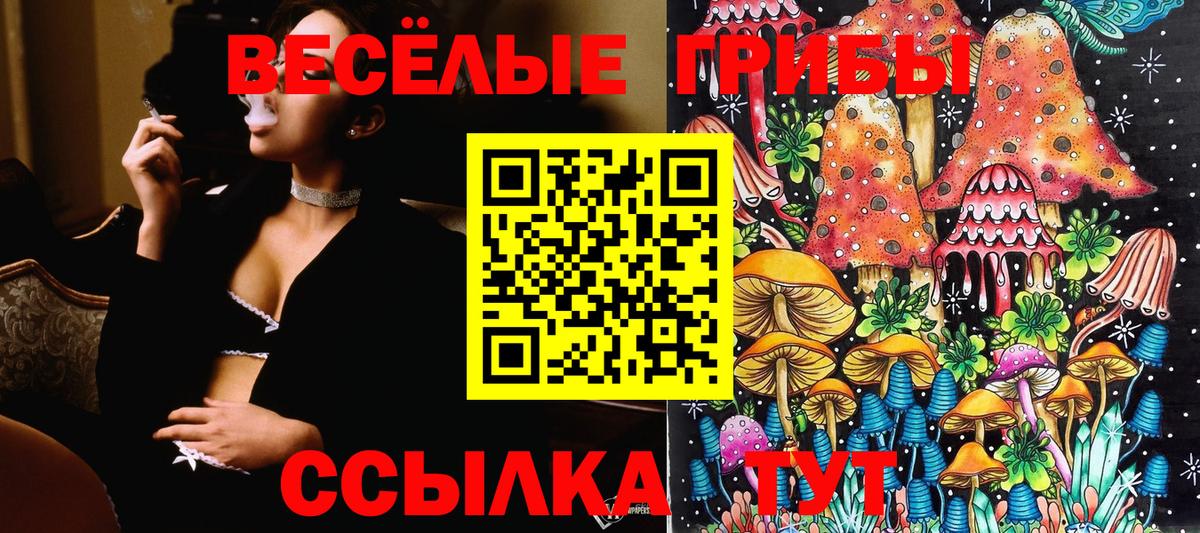 Псилоцибиновые грибы ЛСД Губкин